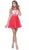 Embroidered Illusion Neck Dress