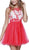Embroidered Illusion Neck Dress