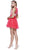 Embroidered Illusion Neck Dress