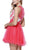 Embroidered Illusion Neck Dress