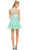 Embroidered Illusion Neck Dress