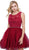 Sleeveless Ruffled Lace Hemmed Cocktail Dress