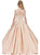 Dancing Queen - 1314 Floral Appliqued Quinceanera Dress In Neutral