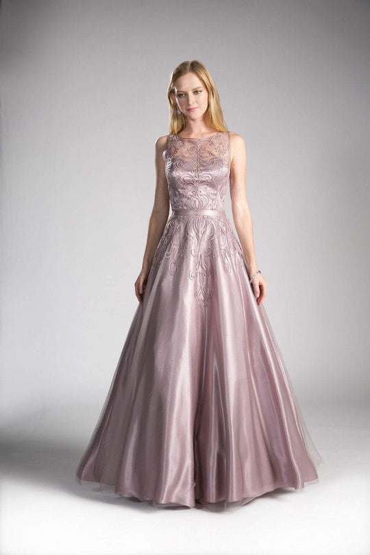 Cinderella Divine - 1020 Embroidered Illusion Bateau Evening Gown In Brown