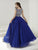 Tiffany Homecoming - Exquisitely Accented Bateau Illusion Evening Gown 16184 In Blue
