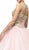 Dancing Queen - 1101 Gold Embroidered Illusion Neck Formal Ball Gown In Pink