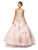 Dancing Queen - 1105 Strapless Sweetheart Gilt Appliqued Prom Ball Gown In Pink