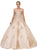 Dancing Queen - 1105 Strapless Sweetheart Gilt Appliqued Prom Ball Gown In Pink
