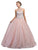 Dancing Queen Bridal - 1169 Sophisticated Halter Illusion Long Gown