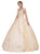 Dancing Queen - 1183 Jeweled Lace Applique Quinceanera Ballgown in Nude