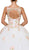 Dancing Queen - 1187 Floral Applique V-neck Quinceanera Ballgown in White