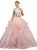 Dancing Queen - 1193 Beaded Two Piece Quinceanera Gown In Pink