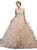 Dancing Queen - 1218 Embellished Illusion Bateau Ruffled Quinceanera Ballgown In Neutral