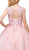 Dancing Queen - 1223 Cap Sleeve Beaded Applique Ballgown In Pink