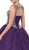 Dancing Queen - 1234 Beaded Illusion Scoop Evening Gown