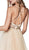Cinderella Divine - CD0128 Applique Detailed Bodice Tulle A-Line Gown In Neutral