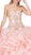 Dancing Queen - 1250 Strapless Embroidered Ruffled Quinceanera Gown in Pink