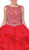 Dancing Queen - 1255 Embellished Bateau Quinceanera Ruffled Ballgown