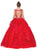 Dancing Queen - 1255 Embellished Bateau Quinceanera Ruffled Ballgown