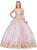 Dancing Queen - 1270 Gilded Long Sleeve Quinceanera Ballgown In Pink