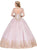 Dancing Queen - 1270 Gilded Long Sleeve Quinceanera Ballgown In Pink