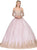 Dancing Queen - 1282 Appliqued Long Sleeves Quinceanera Gown in Pink