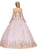 Dancing Queen - 1282 Appliqued Long Sleeves Quinceanera Gown in Pink