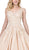 Dancing Queen - 1314 Floral Appliqued Quinceanera Dress In Neutral
