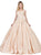 Dancing Queen - 1314 Floral Appliqued Quinceanera Dress In Neutral
