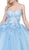 Dancing Queen - 1320 Floral Applique Sweetheart Quinceanera Ballgown
