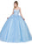 Dancing Queen - 1320 Floral Applique Sweetheart Quinceanera Ballgown