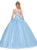 Dancing Queen - 1320 Floral Applique Sweetheart Quinceanera Ballgown