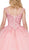 Dancing Queen - 1321 Floral Applique Bateau Ballgown In Pink