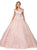 Dancing Queen - 1347 Trailing Blossoms Off Shoulder Ballgown In Pink