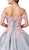 Dancing Queen - 1388 Floral Applique Off-Shoulder Ballgown With Train In Silver and Pink