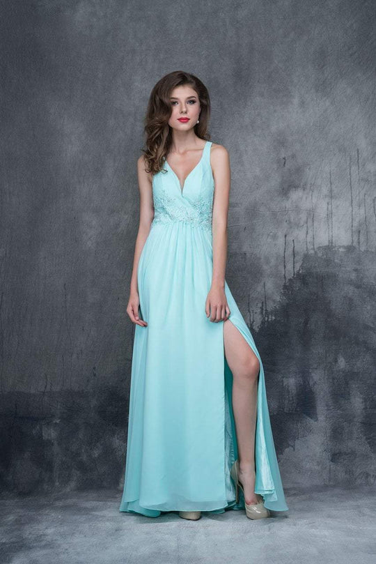 Nina Canacci - 1388 Sleeveless Jeweled Applique A-Line Gown In Green and Blue