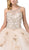 Dancing Queen - 1390 Embellished Halter Ballgown With Train In Neutral