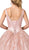Dancing Queen - 1400 Ornate Plunging V-neck Ballgown In Pink and Gold