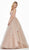 Ashley Lauren - 1483 Embroidered Plunging Sweetheart Ballgown In Pink