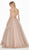 Ashley Lauren - 1483 Embroidered Plunging Sweetheart Ballgown In Pink