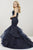 Panoply - 14923 Embroidered Lace Organza Mermaid Dress In Blue