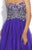 15116L Dress in Purple
