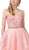 Dancing Queen - 2524 Embellished Halter V-neck Tiered Ballgown In Pink
