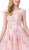 Dancing Queen - 2600 Applique Sweetheart Ballgown In Pink