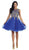 Sleeveless Ornate Lace Illusion Cocktail Dress