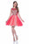 Terani Couture - 1611P0115A Ornate Illusion Tutu Dress in Pink