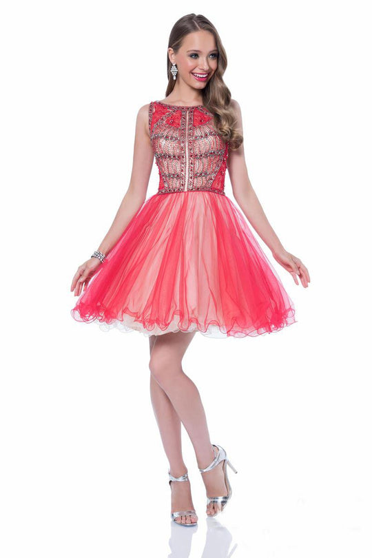 Terani Couture - 1611P0115A Ornate Illusion Tutu Dress in Pink