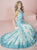 Tiffany Homecoming - Beaded Choker Neck Lace Overlay with Cutout Details Evening Gown 16150 In Blue and Neutral