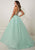 Tiffany Designs - Jeweled Illusion Halter Brocade Ballgown 16289 in Green