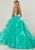Tiffany Homecoming - 16300 Bedazzled Sweetheart Organza Ballgown In Silver and Green